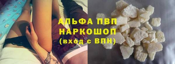 индика Баксан