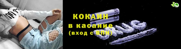 индика Баксан