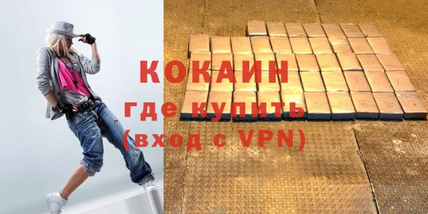 прущие грибы Магадан