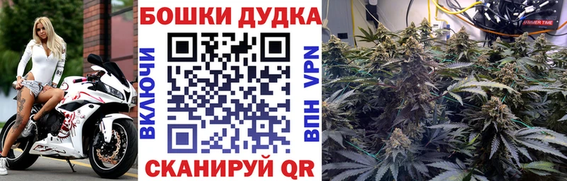 Бошки марихуана тримм  blacksprut ONION  shop клад  Балей 
